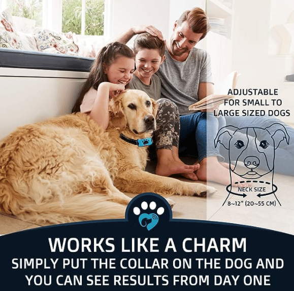 Naya Vault | Anti-Bark Collar