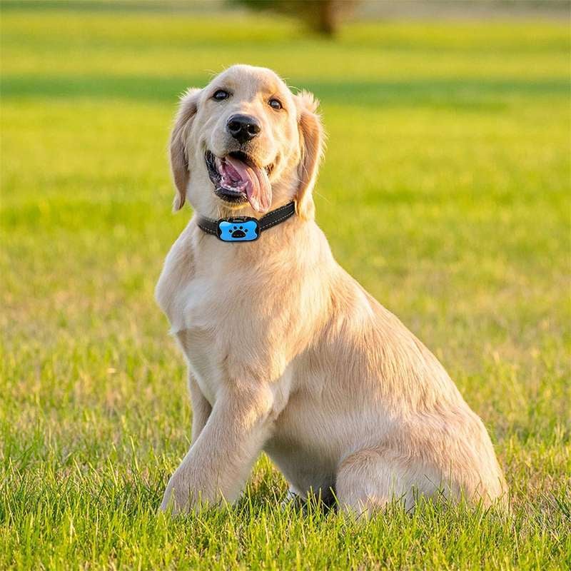 Naya Vault | Anti-Bark Collar