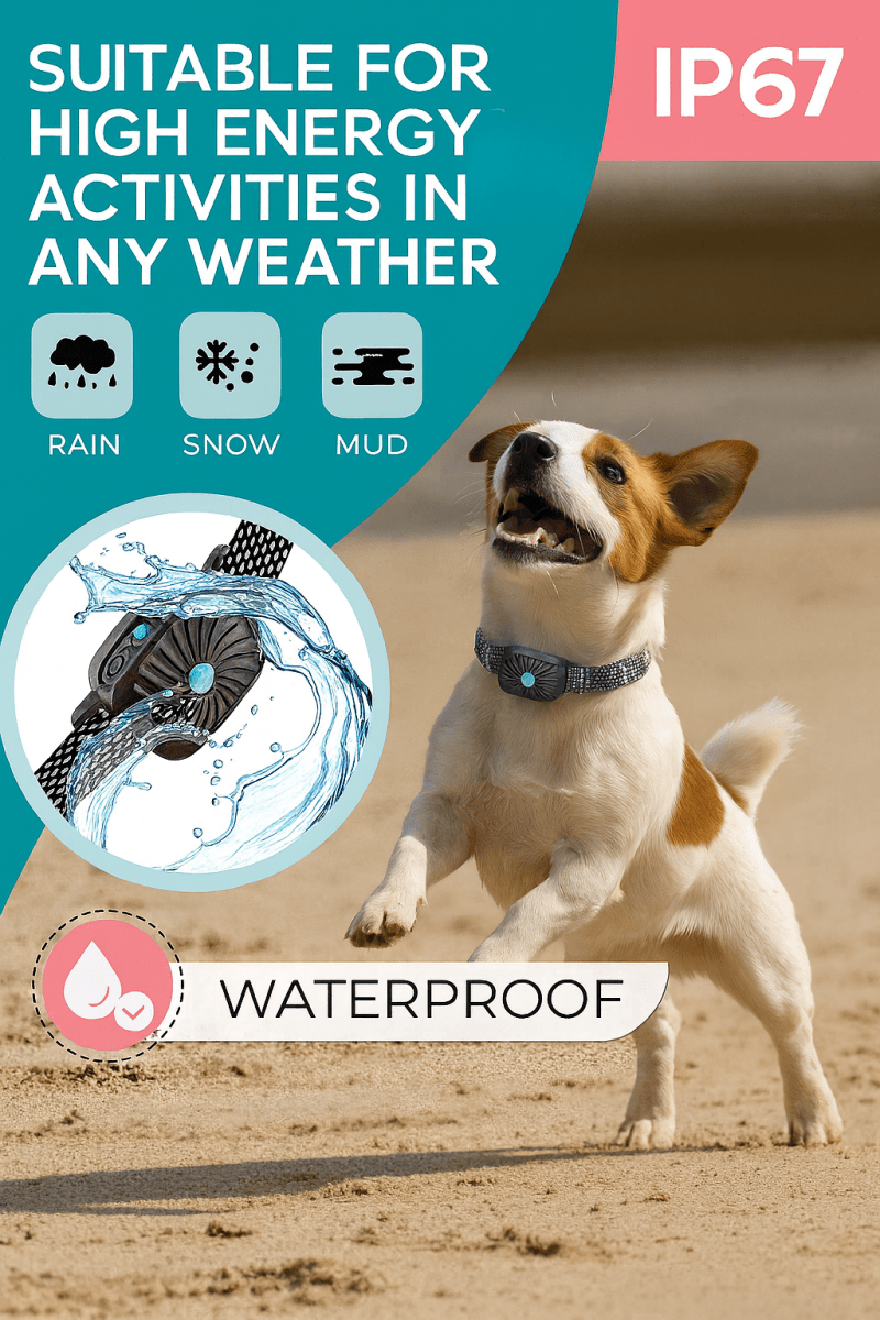 Naya Vault | BarkLess Nano – Collier anti-aboiement doux pour chiots et petits chiens