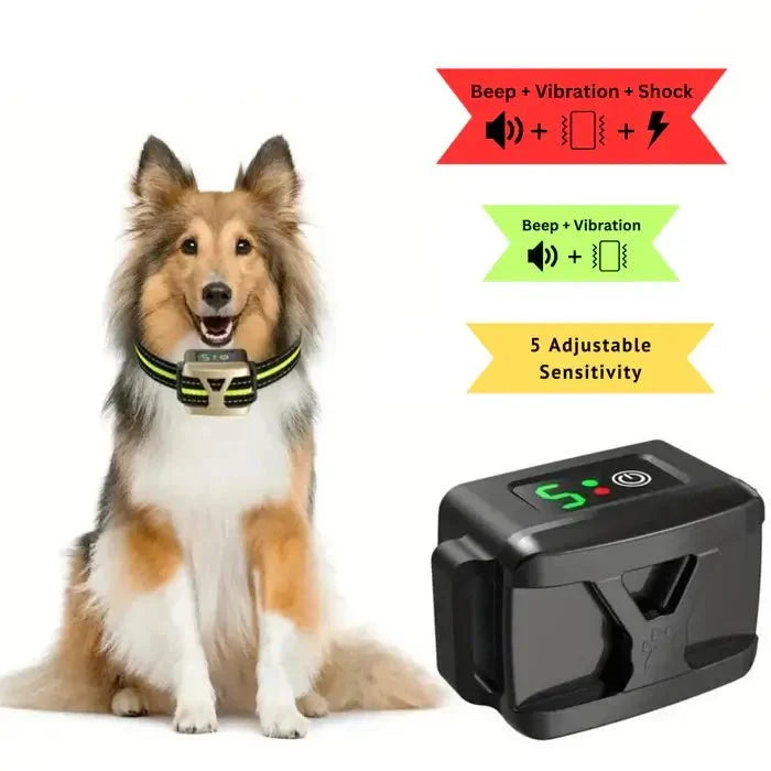 Rechargeable Dog Bark Collar with 5 Sensitivity Levels and IP67 Waterproof Receiver