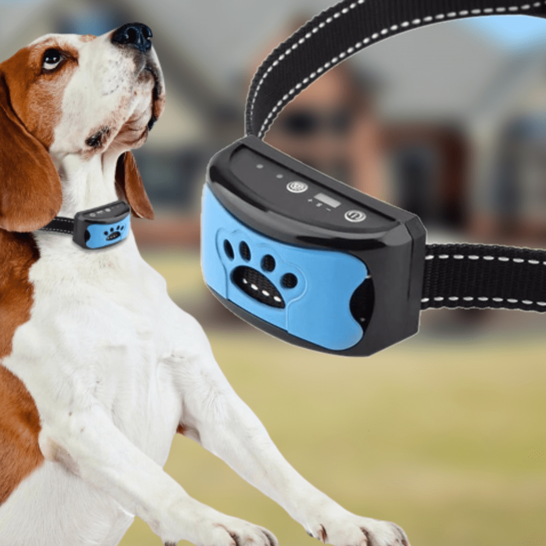 Naya Vault| Painless Anti-Bark Collar – Vibrations & Ultrasound for Dogs